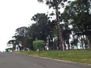 Praça do Capão das Araucárias (1)