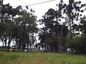 Praça do Capão das Araucárias (9)