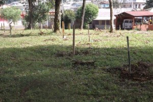 Plantio Árvores Nativas Praça do Capão das Araucárias - divulgação5