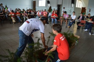 entrega das mudas de araucárias