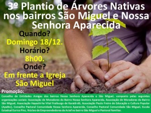 3o-plantio-de-arvores-nativas-nos-bairros-sao-miguel-e-nossa-senhora-aparecida